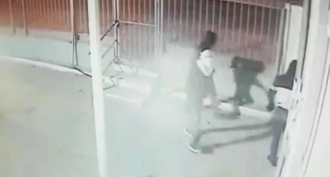 צפו: הרוע בהתגלמותו - רעולי פנים גונבים ומשחיתים את צער בעלי חיים