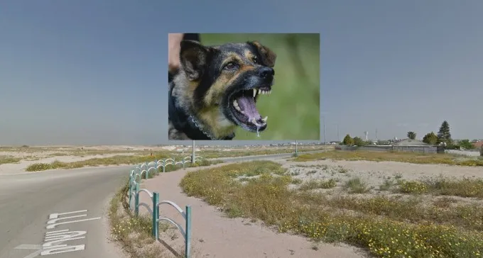 נעצר בעל הכלבים שנשכו את הילדה באופקים