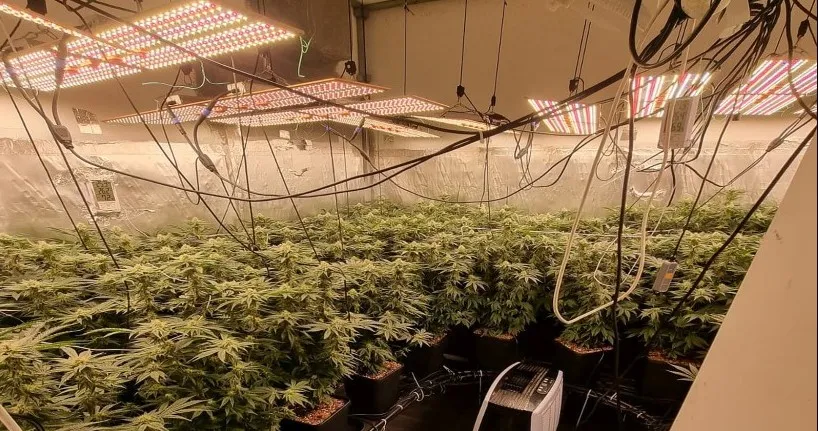 מעבדת סמים פעלה מתוך דירה בנתיבות