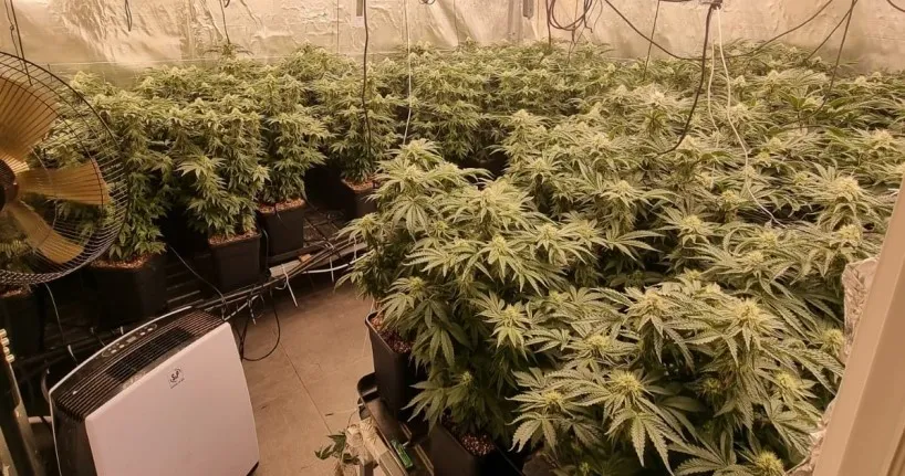 מעבדת סמים פעלה בלב נתיבות (תיעוד)