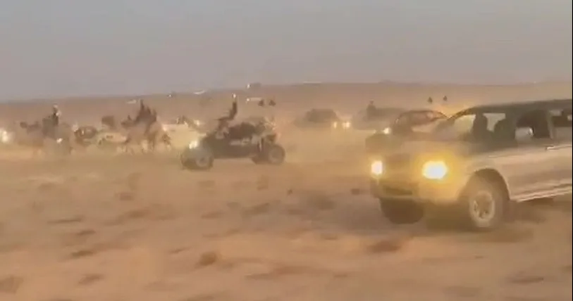 טירוף: המשטרה עוצרת שיירות חתונה, אז עוברים למרוצי גמלים