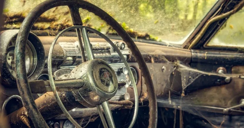 עכשיו זה מדעי: הבאר שבעים אוהבים אותן מבוגרות