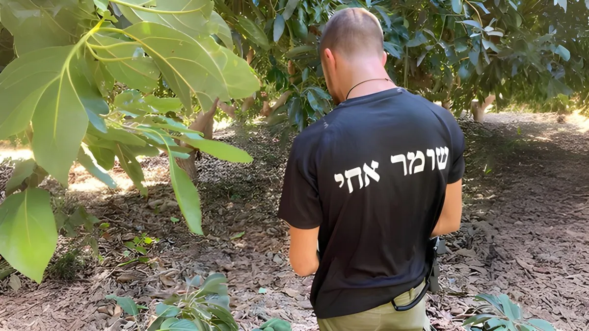 יישוב חדש ליד ערד: 20 משפחות ''השומר החדש'' עולות לקרקע הנשלטת כיום על ידי פולשים
