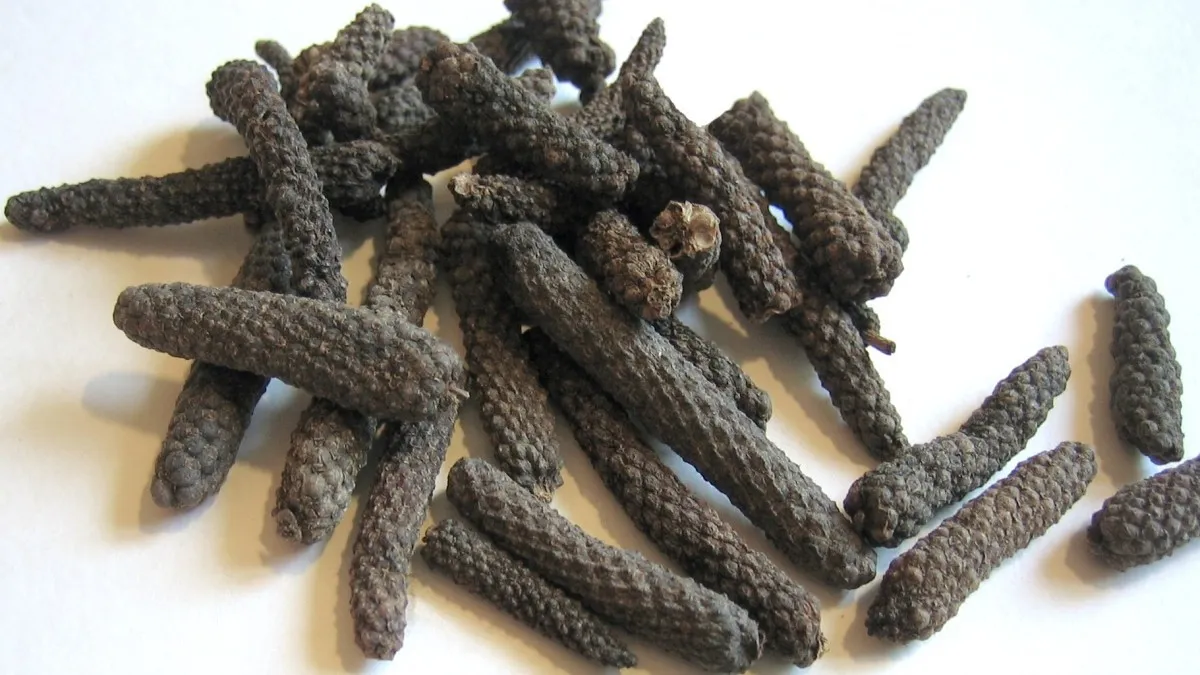 אוהבים חריף? מחקר בבן גוריון חושף את ה'אנטיביוטיקה של הטבע'