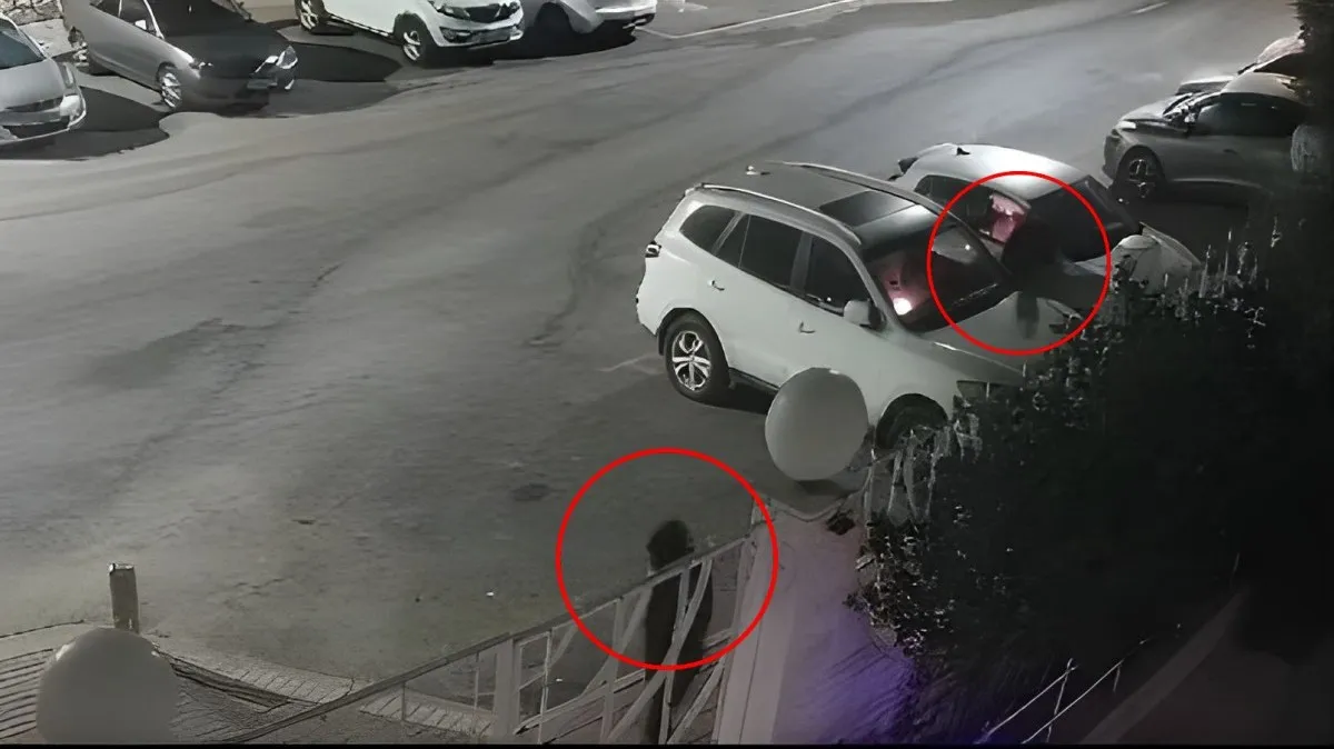 רעולי פנים הציתו כלי רכב סמוך לבית כנסת בבאר שבע: ''על מה משלמים פה היטל ביטחון?'' (תיעוד)