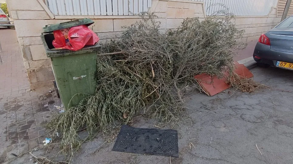 איכות חיים בבאר שבע? רחוב שלם - רק שני פחי זבל: ''בגלל הזבובים, אני לא יושבת בגינה''