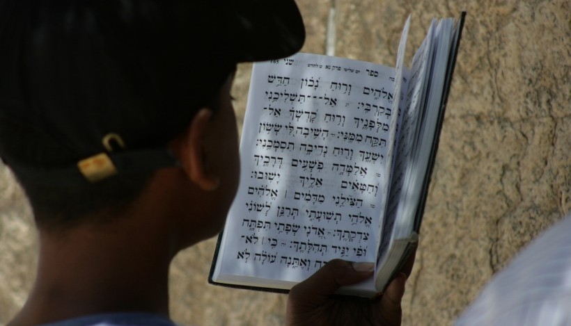 פרשת השבוע | פרשת ראה