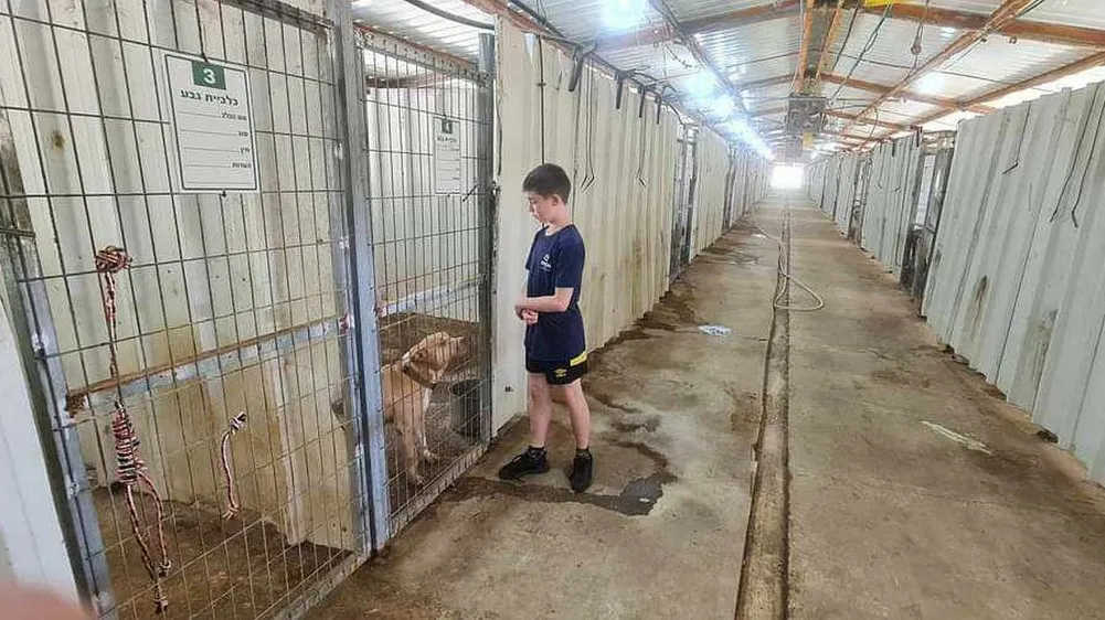 'חקלאי שמאמץ כלב - מציל את עצמו ומשפחתו': הכלבן הדרומי שנלחם בפרוטקשן בנגב