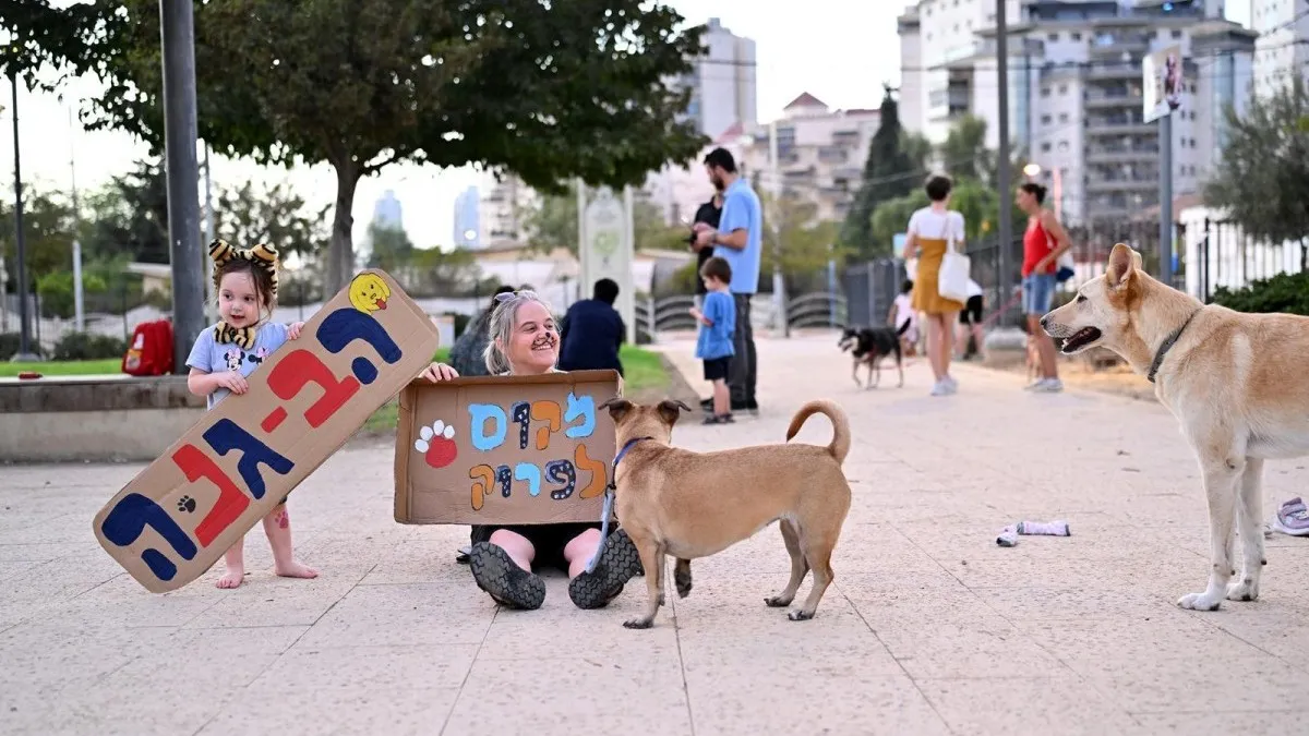 מאבק הנביחות: דרישה להקמת גינת כלבים בשכונת דרום והעיר העתיקה