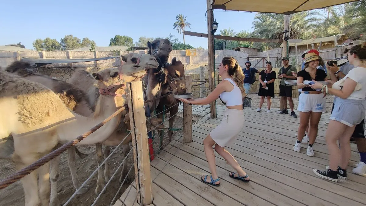  Зима в Кфар Нокдим: увлекательные мероприятия для всей семьи в Иудейской пустыне