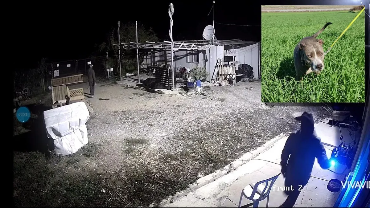 מקומם: גנבים פרצו לכלביה בדרום, גנבו ופצעו כלבה, עיריית באר שבע בחרה לקנוס את הכלבן (תיעוד)