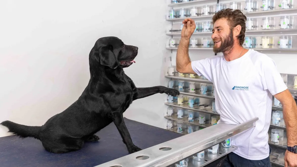 כלבי הרחה מצילים חיים: מחקר פורץ דרך בנגב מגלה סרטן בשלבים מוקדמים