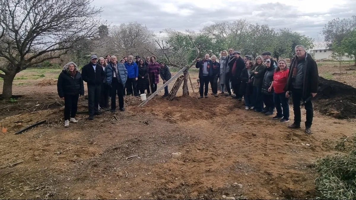 נוטעים תקווה: רבנים בריטים וישראלים בנטיעת עץ זית בנירים