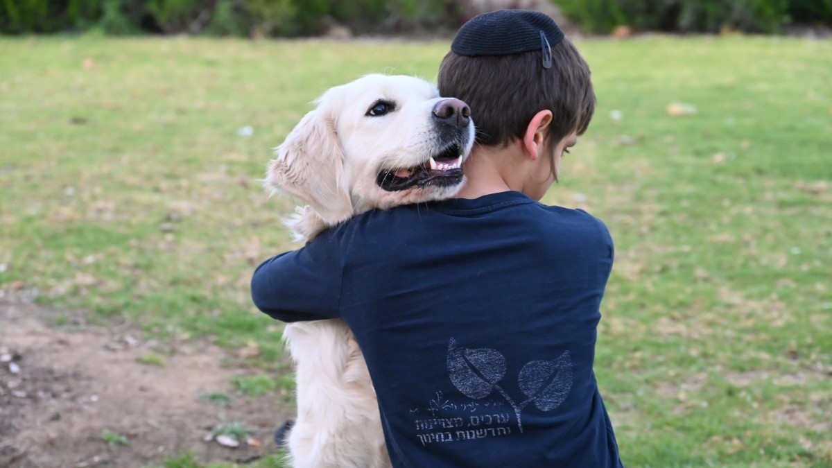 Пушистые объятия для осиротевших детей в Беэр-Шеве: программа, дарящая надежду с помощью собак
