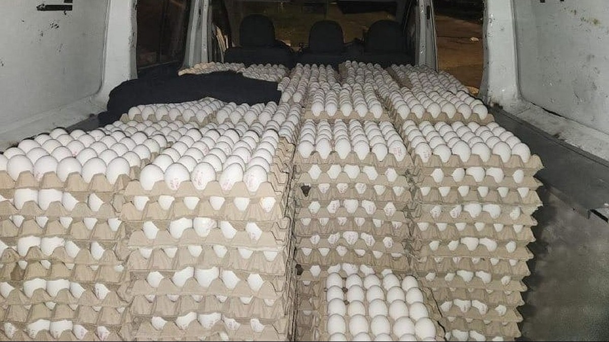 Опасность для здоровья: палестинцы пытаются провезти контрабандные яйца на рынки, сотни тысяч изъяты