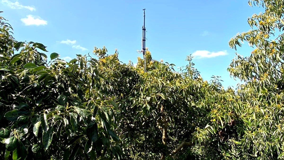 פריצת דרך עולמית: פיתוח חדש מקיבוץ חצרים מספק מענה חכם ומהפכני לשינויי אקלים ברחבי העולם