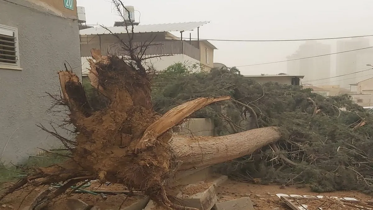 הסופה הכתה בעוצמה בשכונה ג' בבאר שבע: עצים קרסו, דודי שמש עפו ותושבים מנותקים מחשמל
