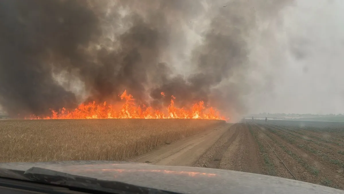 ''זהו טרור הצתות ביום הזיכרון והעצמאות'': כיתות כוננות הוקפצו בדרום