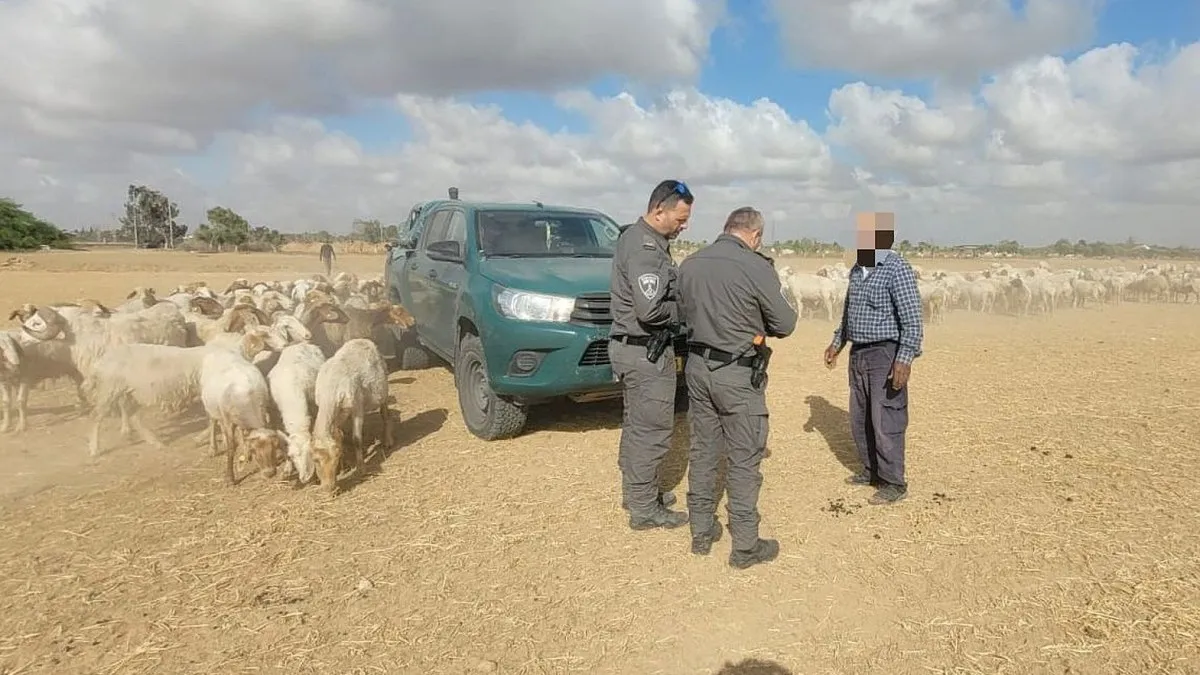 Штраф в размере 150 тысяч шекелей наложен на бедуинских пастухов за вторжение на сельскохозяйственные поля на севере Негева