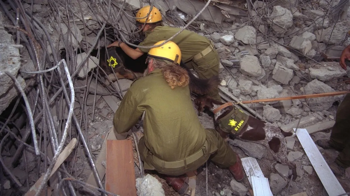 Надвигающаяся катастрофа: Почему старые кварталы Беэр-Шевы не готовы к землетрясению?