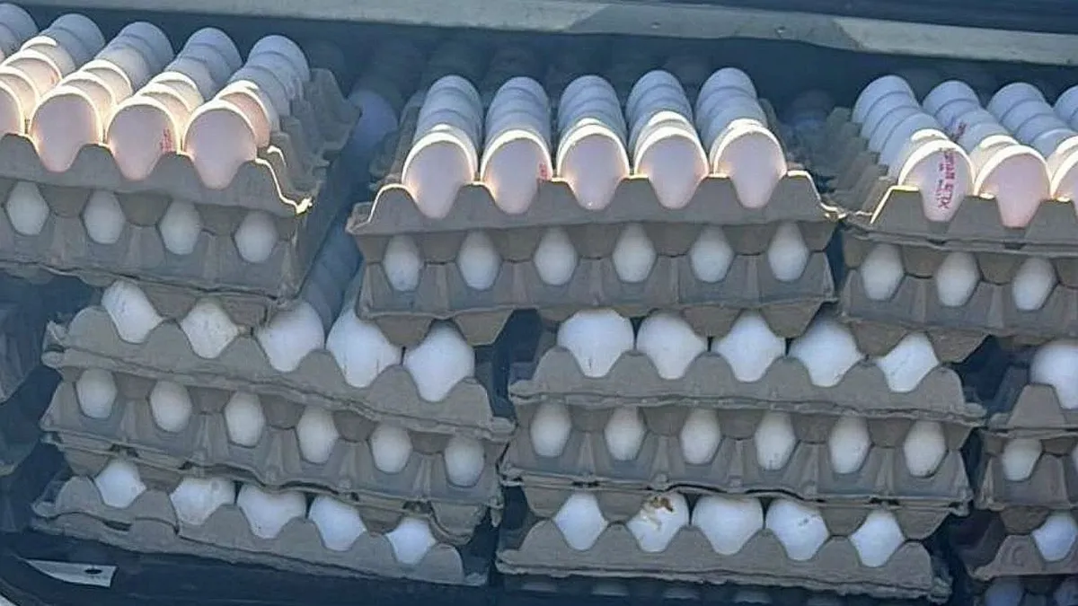 Контрабандные яйца и замороженное мясо, перехваченные на израильском КПП