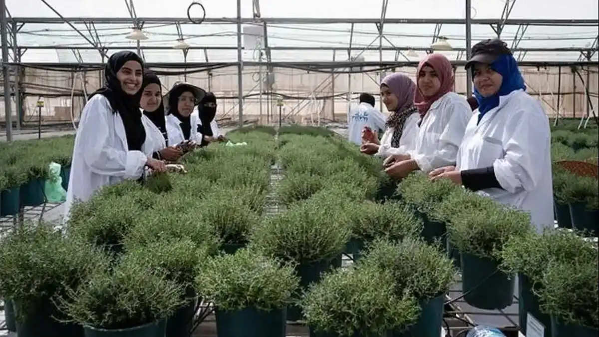 מהנגב המערבי לתעסוקה חדשה: 3.4 מיליון ש''ח לשילוב נשים בדואיות בחקלאות ובתעשייה