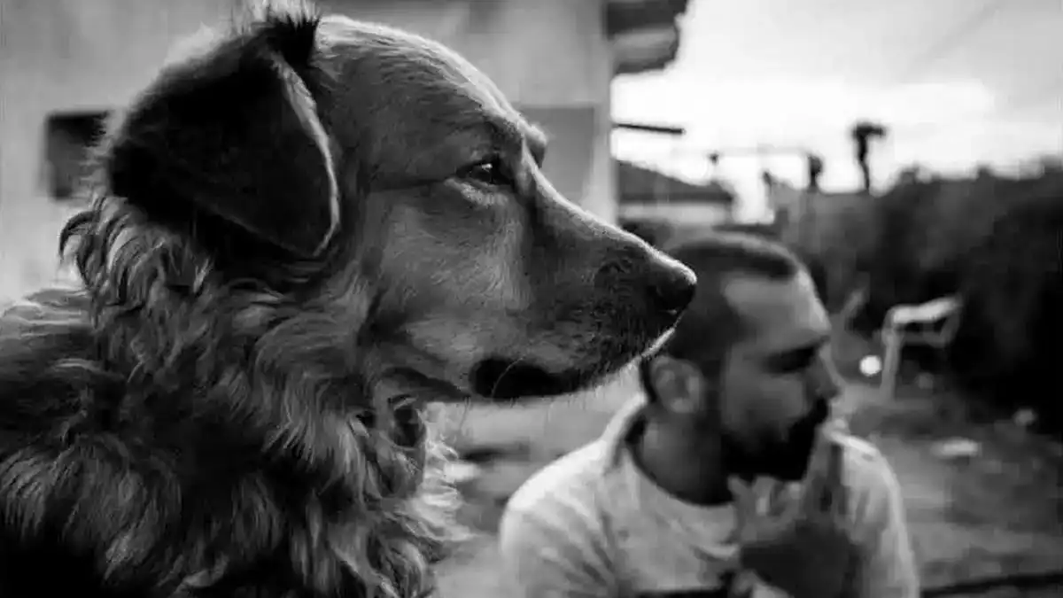 יצירה שצומחת בעיר העתיקה: היוצר איתן יופיע ב'עשן הזמן' (וידאו)