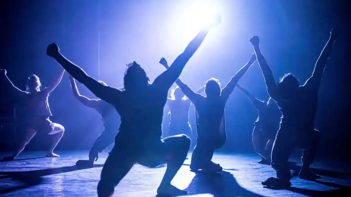 Танцевальный ансамбль «Камэа» представляет Gray – новую работу Тамирa Гинца и торжественную премьеру в Беэр-Шеве и Тель-Авиве