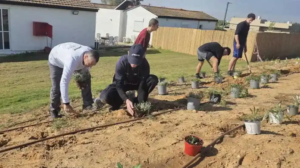 עובדי נטפים ומתנדבי ‘לזרוע אור’ מקימים גינה ירוקה ומערכת השקיה במכינת אחים ביישוב צוחר בעוטף עזה, כחלק ממיזם ‘אור של חנוכה’.