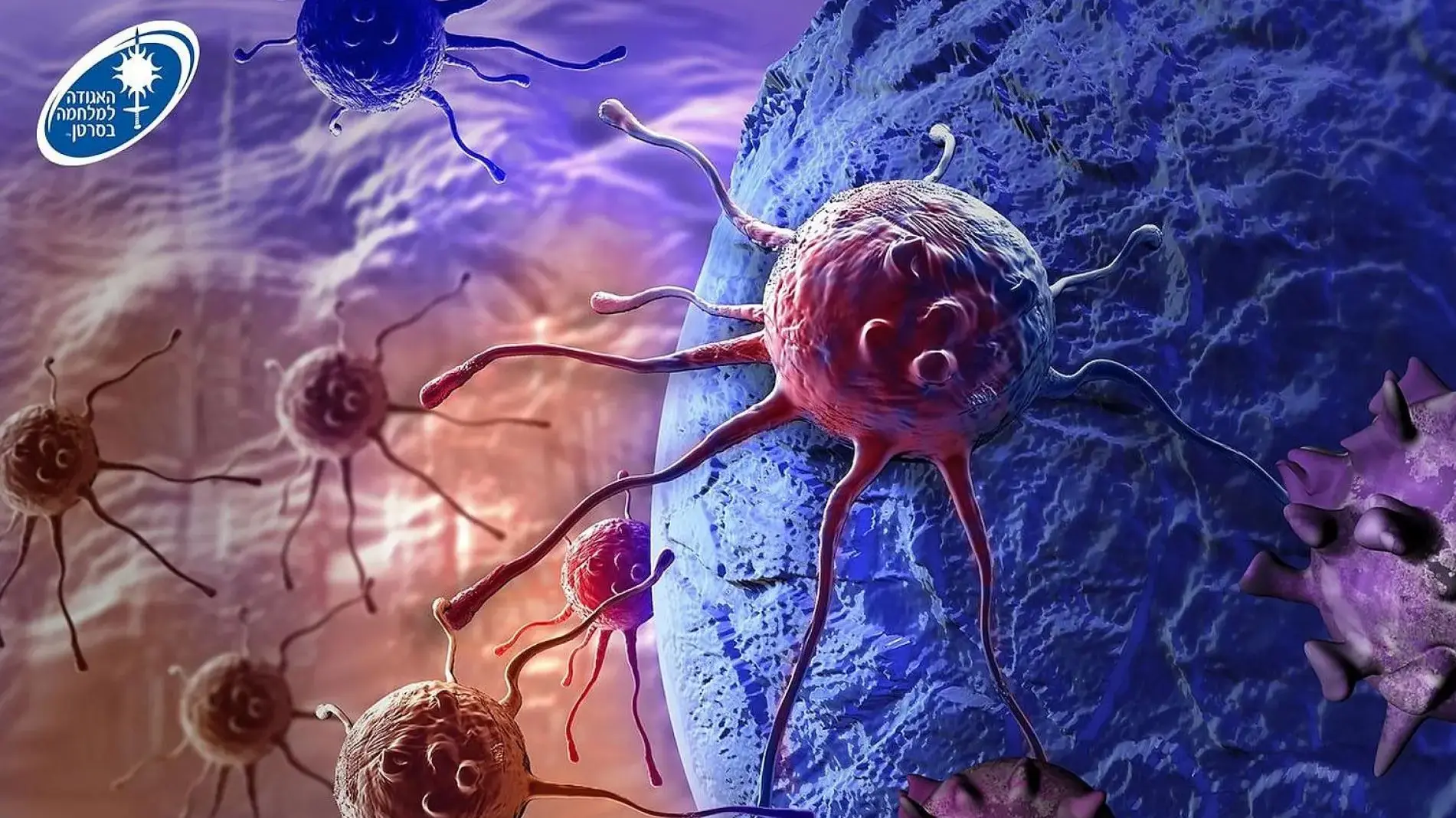 מפגש שיקום אונקולוגי למחלימי סרטן בבאר שבע במסגרת האגודה למלחמה בסרטן