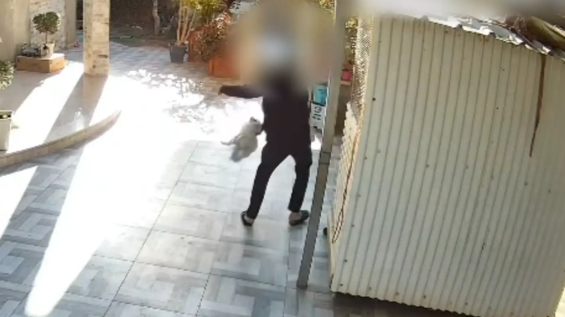 משטרת ישראל הגישה כתב אישום נגד תושב ערערה בנגב בגין הריגת כלבה ואלימות במשפחה