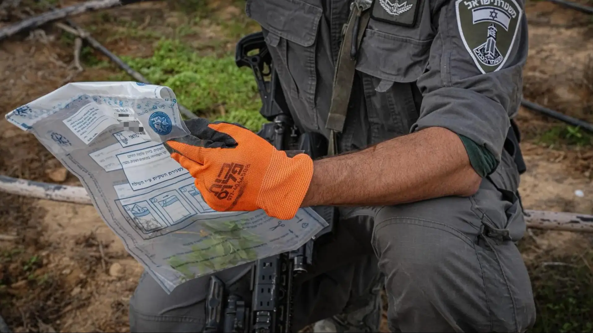 המשטרה פשטה על ''ממלכת הסמים'' ברמת נגב: נתפסו עשרות אלפי שתילי קנאביס
