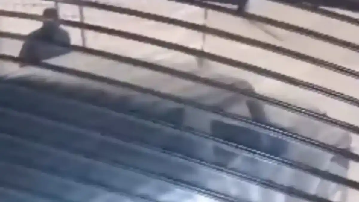 הכנופייה המסוכנת בדרום הכתה באופקים (תיעוד)