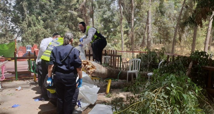 אסון בקייטנה: ענף עץ קרס בפארק, בן 9 נהרג