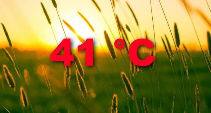 חושבים שהיום חם? הטמפרטורה הכי גבוהה שנמדדה בב''ש תפתיע אתכם