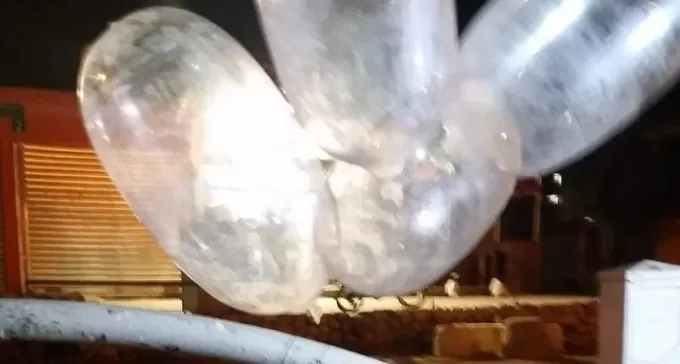 בלון תבערה נחת ברח' רינגלבלום בב''ש, טופל ע''י חבלן