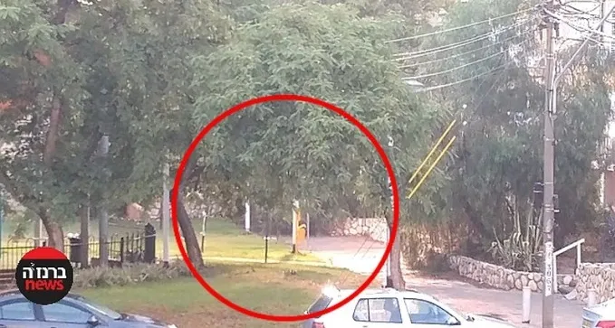 צפו: פיצוצים וניצוצות מקו מתח גבוה - ליד גן משחקים בשכונה ה'