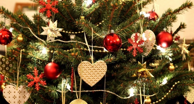 עצומה: להציב עץ אשוח בבאר שבע, לטובת החוגגים את הנובי גוד