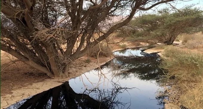 חצי מיליון שקלים קנס לחברה שגרמה לאסון נחל צין