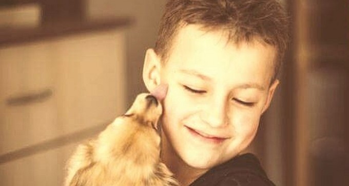 מסע רשת: באר שבע נלחמת בתופעת הסחר בבעלי חיים