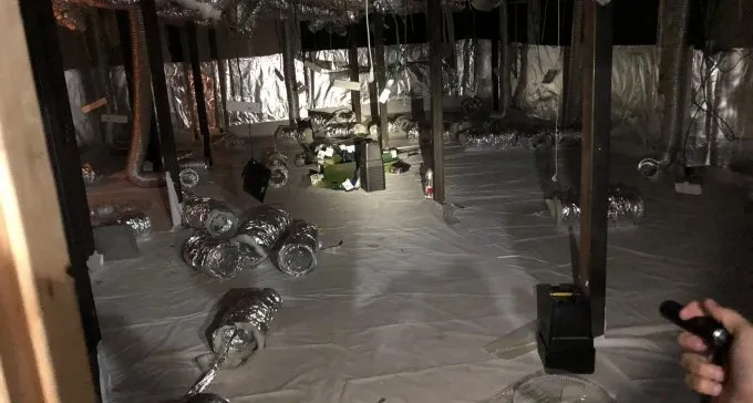 חממת קנאביס ענקית נחשפה באולם אירועים נטוש