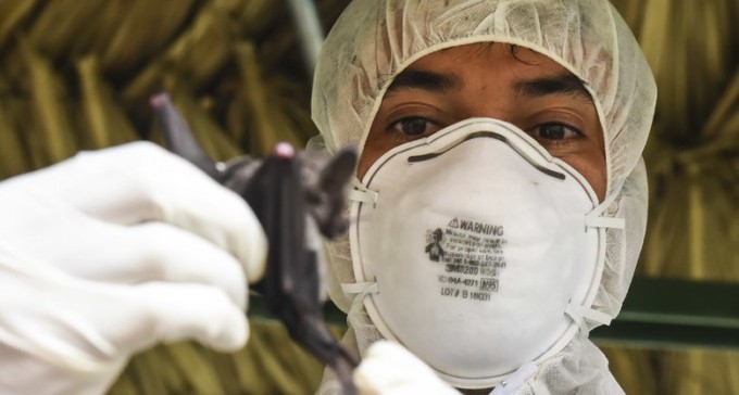 30 תלמידים ממקיף טוביהו בבידוד, אחרי שבאו במגע עם תיירים מקוריאה