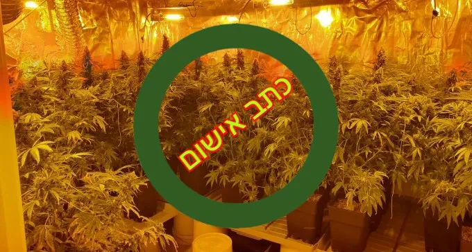כתב אישום נגד 3 תושבי הנגב: גידלו עשרות ק''ג קנאביס