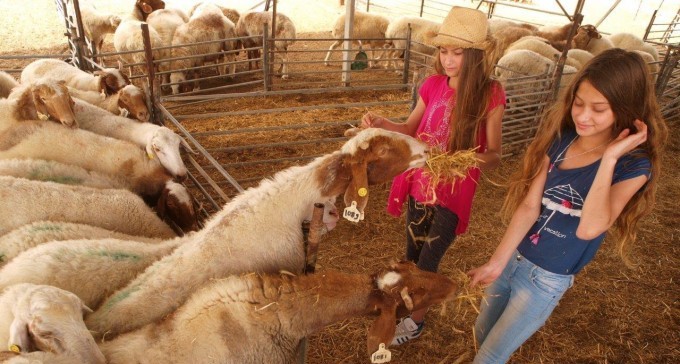 מבלים בפסח: שלל סיורים ופעילויות ברחבי הנגב