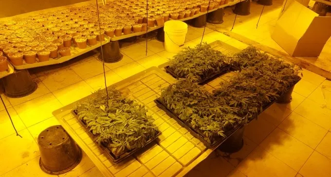 מעבדת הסמים פעלה בלב מתחם מגורים (תיעוד)