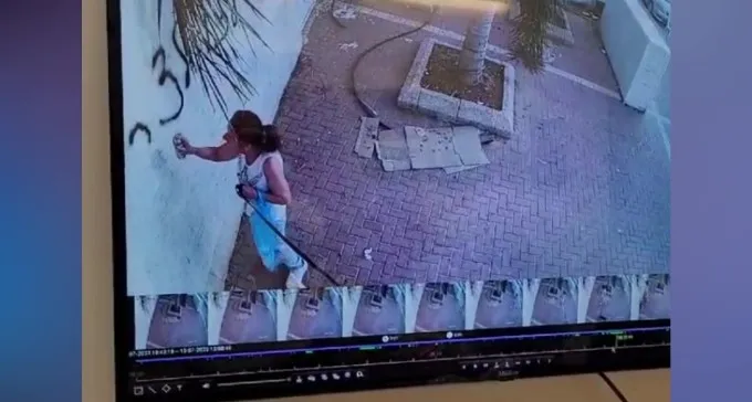 מגיעה לבית חב''ד עם הכלב - ומרססת גראפיטי (תיעוד)