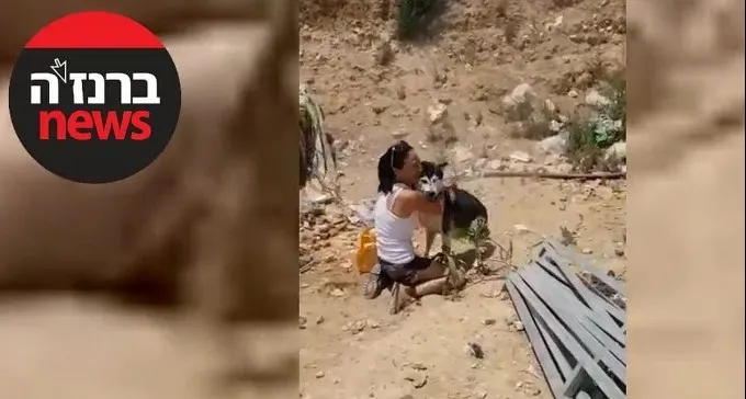 צפו באיחוד עם הכלב טנגו, שנגנב לפני חודשיים בת''א - ואותר ברהט