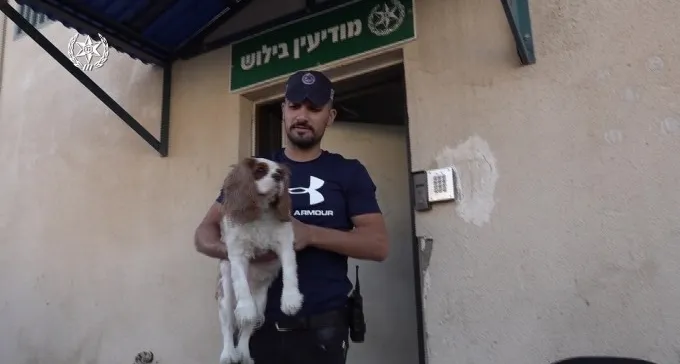 ''רוצים את הכלבה בחזרה? - תשלמו'' - וזה נגמר במעצר