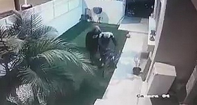 צפו: גנבים בפעולה בנווה נוי - נכנסים לבית וגונבים אופניים