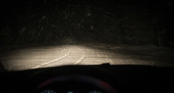 מזעזע: היכו, חנקו וניסו לדרוס - כי ''העיזה'' לצאת להליכה